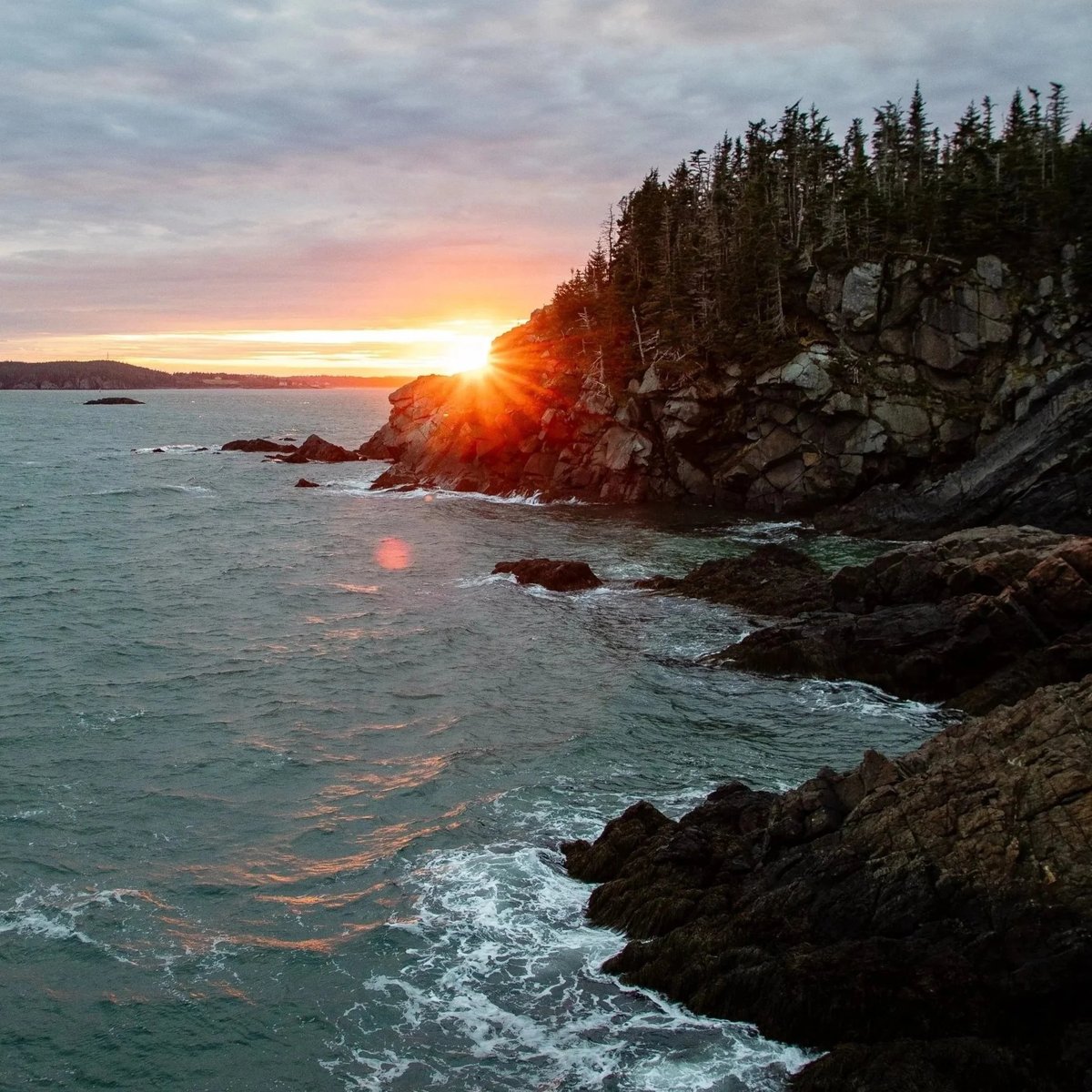 Sunset over rocky coastal cliffs with evergreen trees and crashing waves below